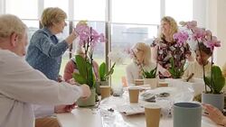 Active seniors learning to arrange orchid flowers Stock Footage