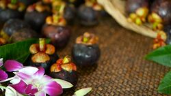 Top view of fresh delicious harvested mangosteens on wooden table. Thai organic purple fruit in the basket. Exotic natural blurred background with tropical flower. Healthy food and eating concept. Stock Footage