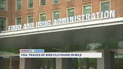 Remnants of bird flu virus found in pasteurized milk, FDA says News Clip