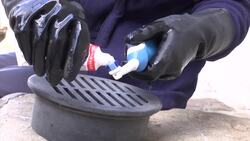 Seals learn to accept trainers donning face masks News Clip