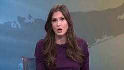 Former NYC officer and Marine reservist pleads not guilty to deadly DWI crash in Valley Stream News Clip