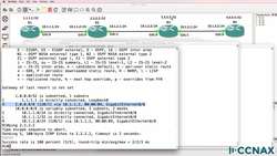 Troubleshoot a faulty computer network : RIP Troubleshooting Scenario 2. Can you find the issue? Instructional Video