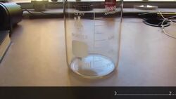 Ammonia Sulfate Mistake! Instructional Video