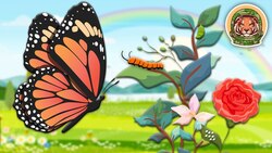 How Does A Caterpillar Become a Butterfly? | The Butterfly Metamorphosis Song | KLT WILD Instructional Video