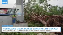 Newsy's Latest Headlines News Clip