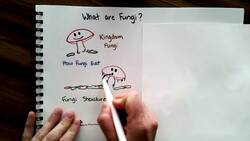 Fungi Instructional Video