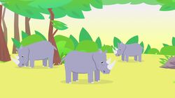 Rhino Facts Instructional Video
