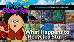 Recycling's Roadblocks: Efficiency and Market Demand Instructional Video
