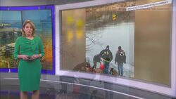 Deer rescued from frozen lake in Brookfield thanks to quick-thinking firefighters News Clip