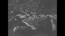 Paul von Hindenburg lays wreath to honor Germany's war dead News Clip