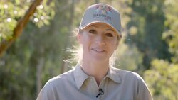A Baby Giraffe Passes His First Exam Instructional Video