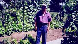 Antonio Ciavarelli shared traditions of wine making and gardening with loved ones News Clip