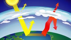 The Rainforest: Earth's Climate Regulator Instructional Video