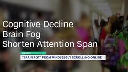 Doctor: Increase social media use can lead to cognitive decline and brain fog News Clip