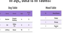 Data Science Model Deployments and Cloud Computing on GCP - Relational Databases - SQL Instructional Video