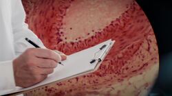 The Immortal HeLa Cells - One Minute History Instructional Video