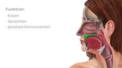 Harter Gaumen Instructional Video