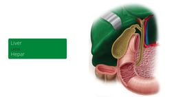 Galbladder in situ Instructional Video