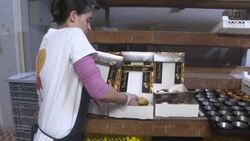 CLEAN : At Christmas in Portugal, traditional 'king cake' takes centre stage News Clip