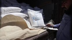 CLEAN : Syrians protest to keep vital aid crossing open News Clip