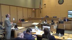 Michelle Troconis pleads not guilty to contempt charge from trial in Dulos case News Clip