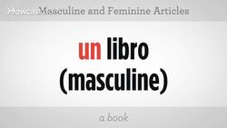 How to Use Masculine & Feminine Articles in Spanish Instructional Video