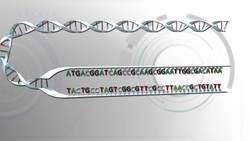 New DNA structure found Instructional Video