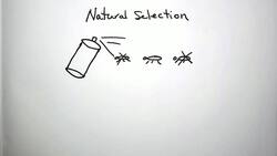 Where Do Species Come From Instructional Video