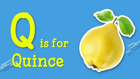 Fun with Fruits: ABC Adventure