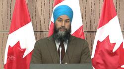 Singh calls for more police training in de-escalation for tense situations News Clip