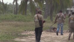 CLEAN : 24h of Violence in Mexico: Acapulco News Clip