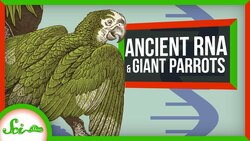 Scientists Pull RNA from a 14,000 Year-Old Wolf | SciShow News Instructional Video