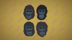 Gorilla Facts Instructional Video