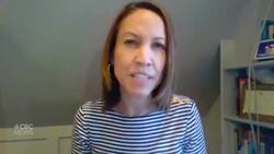 Democratic and Republican strategists react to U.S. election so far News Clip