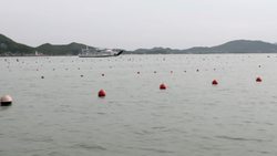 Can Seaweed Save the World: Seaweed Farming Instructional Video