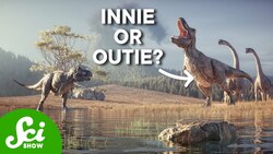 Did Dinosaurs Have Belly Buttons? Instructional Video