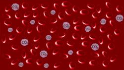 The Heroic Heart Instructional Video