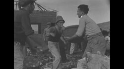 Jewish immigrants escaping European oppression build houses in Palestine in 1939 News Clip