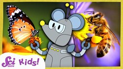 How Do Pollinators Help Plants Grow? | SciShow Kids Compilation Instructional Video