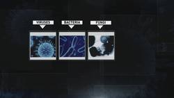 Science Behind The News: Influenza & Flu Vaccines Instructional Video