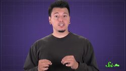 How Do Turtles Live So Long? Instructional Video