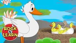 The Ugly Duckling Song Instructional Video
