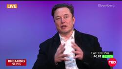 Musk Says He's 'Not Sure' He'll Be Able to Buy Twitter News Clip