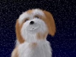 Bedtime Vocabulary in Mandarin Instructional Video