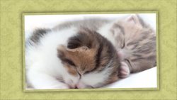 Brahms Lullaby | Baby Sleep Music | Lullaby | Baby Music | The Kiboomers Instructional Video