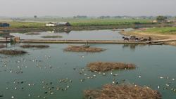 Myanmar, Amarapura - U Bein Bridge Stock Footage