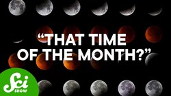 Does the Moon Control Your Period? Instructional Video