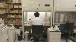 Scientists in Japan work on producing covid-19 vaccination News Clip