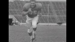 All-American football players on campuses; Bischoff, Stolhandske, Modzelewski, Kraemer, Willhoite, Chickillo, Tamburo, Vessels, McAuliffe, Cameron, Olszewski News Clip