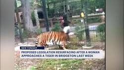 Sen. Bramnick renews push for harsher penalties for zoo trespassers after Cohanzick Zoo tiger incident Instructional Video